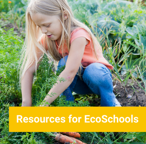 EcoSchools Resources