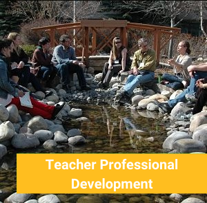 Teacher professional development