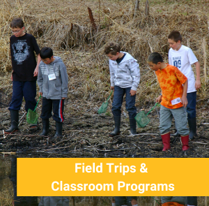 Field trips and classroom programs